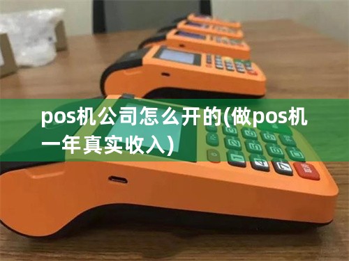 pos机公司怎么开的(做pos机一年真实收入)