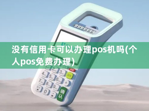 没有信用卡可以办理pos机吗(个人pos免费办理)